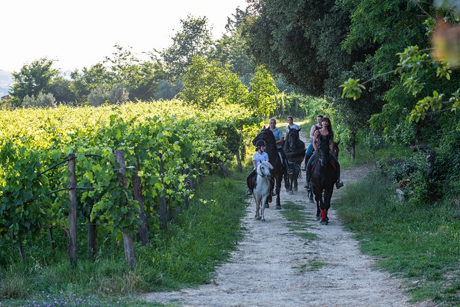 Horseback Riding Tour with Tuscan Picnic in Val d'Orcia and Valdichiana - Riding through the hills around Montepulciano