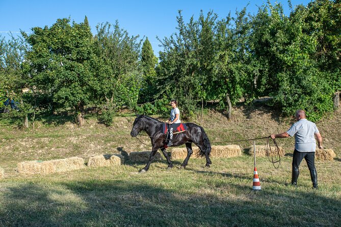 Horseback Riding Tour with Tuscan Picnic in Val d'Orcia and Valdichiana - The horses are a major part of the experience