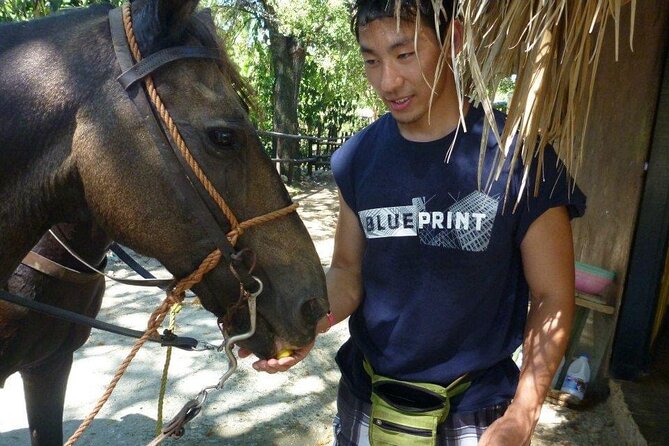 Horseback riding tours from amber cove & Taino bay port silver - Beach riding and time to swim
