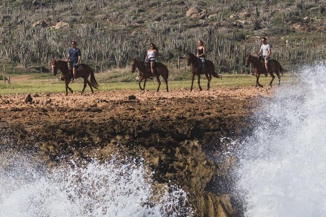 Horseback Riding Wariruri Beach Tour in Aruba - Riding from Paradera to Aruba’s north coast