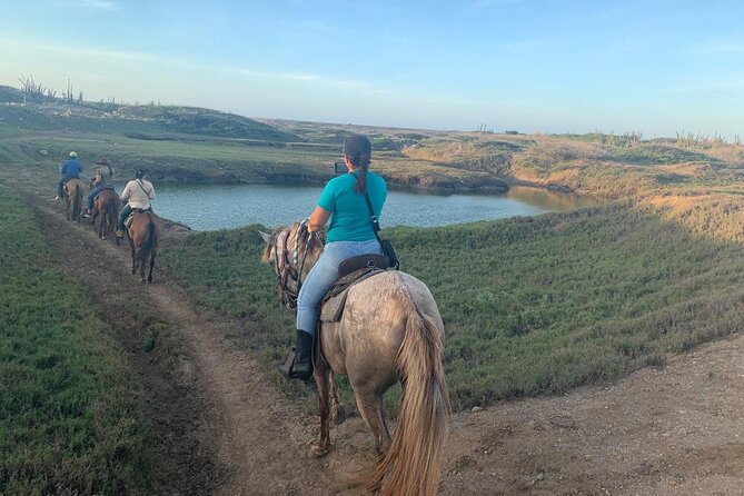 Horseback Riding Wariruri Beach Tour in Aruba - Why the guides matter for first-time riders