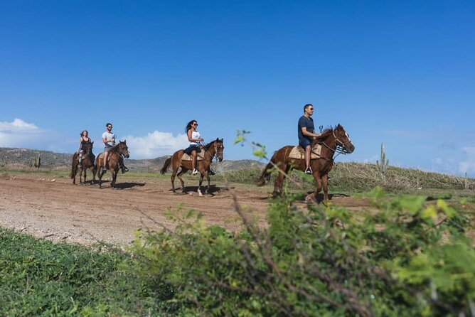 Horseback Riding Wariruri Beach Tour in Aruba - What the $98.60 price includes in practical terms
