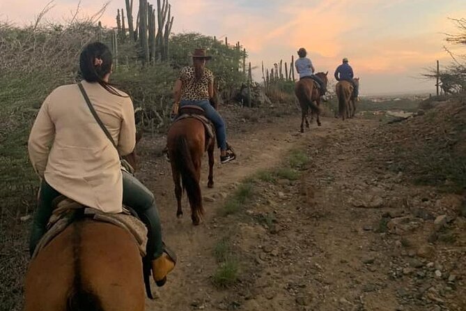 Horseback Riding Wariruri Beach Tour in Aruba - Pickup, timing, and the return to Paradera