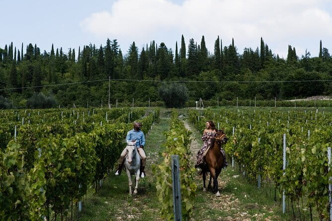 Horseback riding & Wine Tasting and snack Lunch at noble Estate - A short transfer to a historic wine estate