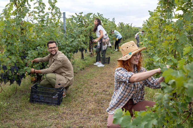 Horseback riding & Wine Tasting and snack Lunch at noble Estate - Who will enjoy this Florence day out