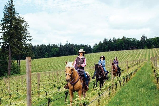 Horseback riding & Wine Tasting and snack Lunch at noble Estate - Practical details that can affect your day