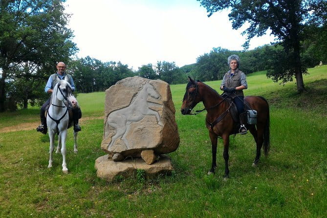 Horseback riding & Wine Tasting and snack Lunch at noble Estate - Riding among vineyards, olive groves, and streams