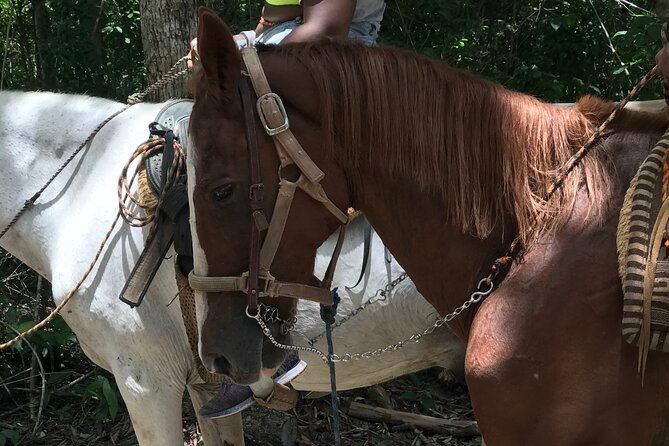Horseback riding with ATV, zip lines and cenote, lunch and transfer - Safety, fitness, and comfort limits