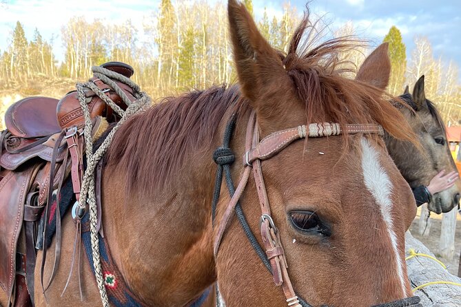 Horseback Riding with Grand Teton Views in Jackson Hole - The ranch atmosphere: authentic, but not polished