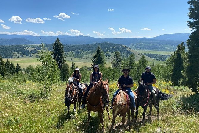 Horseback Riding with Grand Teton Views in Jackson Hole - Who should book this horseback ride