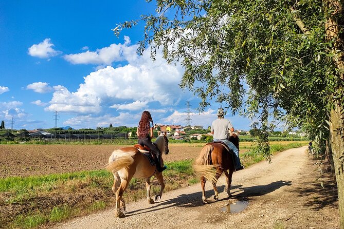 Horseback Riding with Pic Nic in Lazise Countryside - Key points at a glance