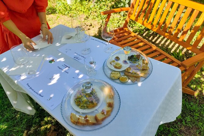 Horseback Riding with Pic Nic in Lazise Countryside - Colà, vineyards, and the wines of the area