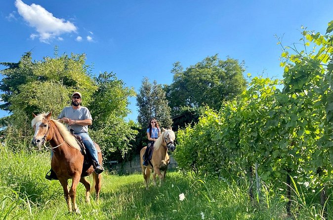 Horseback Riding with Pic Nic in Lazise Countryside - Apicoltura Morati and the tasting under the vines