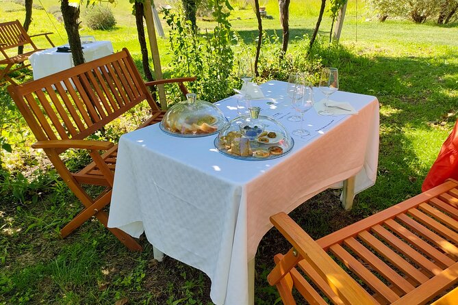 Horseback Riding with Pic Nic in Lazise Countryside - What $156.20 buys you