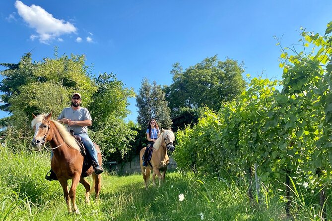 Horseback Riding with Pic Nic in Lazise Countryside - Safety, language, and comfort details
