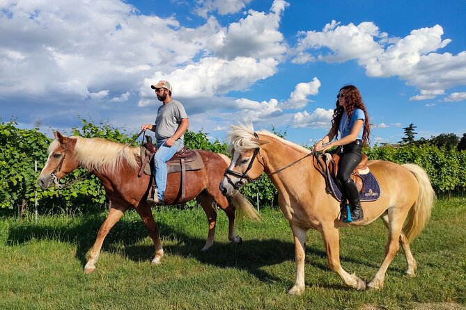 Horseback Riding with Pic Nic in Lazise Countryside - Who should book this horseback outing