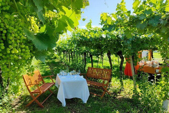 Horseback Riding with Pic Nic in Lazise Countryside - One hour around Lazise’s historic countryside