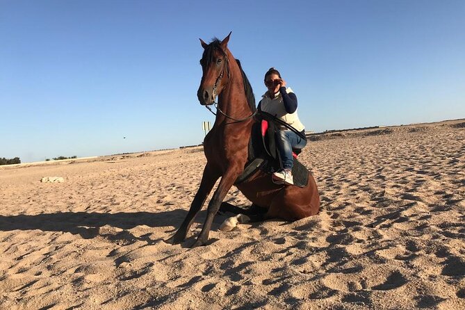 Horseback Riding with Pickup and Drop-off from Sharm El Sheikh - From your Sharm hotel to the riding area