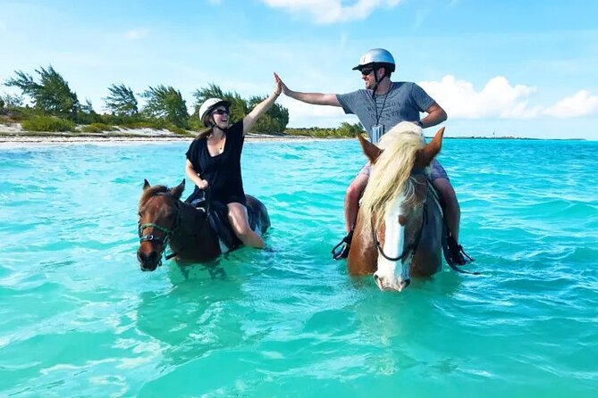 Horseback Riding with Pickup and Drop-off from Sharm El Sheikh - One hour on horseback: a short taste of the coast