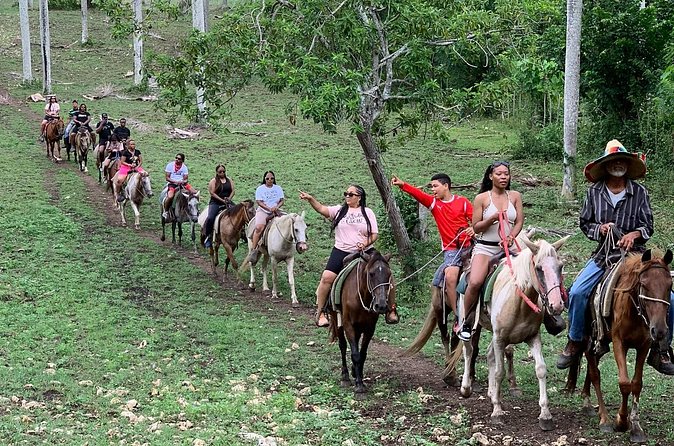 Horseback Riding with Pickup from Punta Cana - The Dominican Cigar-Making Lesson