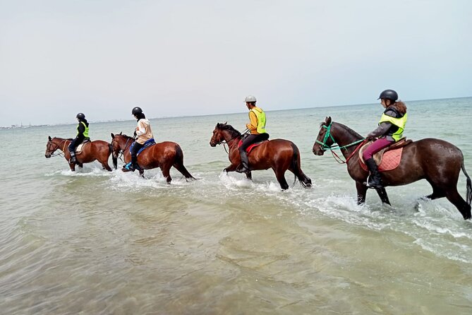 Horseback riding with private transfer - From Monastir to the Sahline riding center