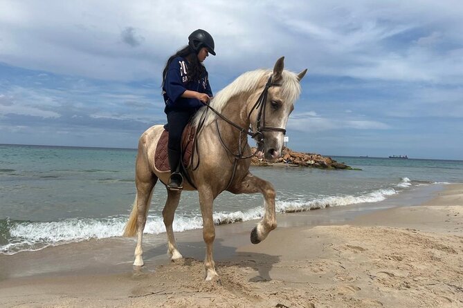 Horseback riding with private transfer - Riding between tracks, golf grounds, and open country