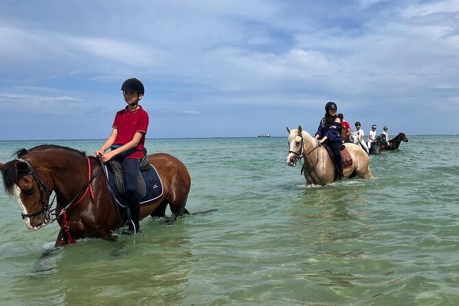 Horseback riding with private transfer - Reaching the beach on horseback