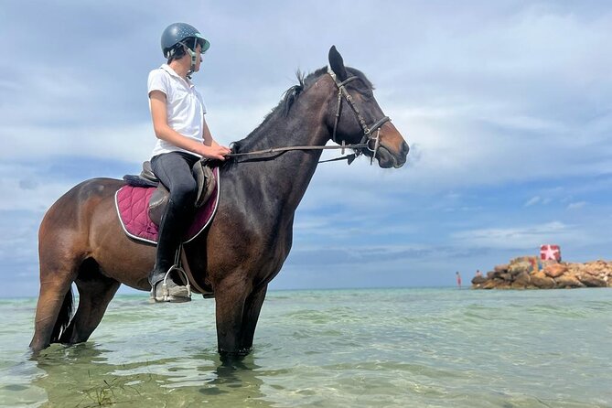 Horseback riding with private transfer - What the $62.72 price really covers