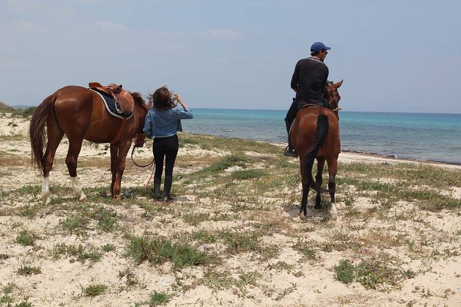 Horseback riding with private transfer - Who should book this ride?