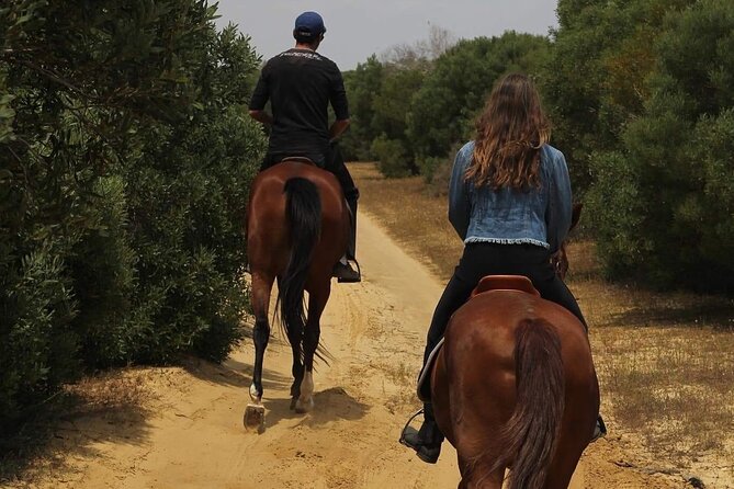 Horseback riding with private transfer - Booking, weather, and practical timing