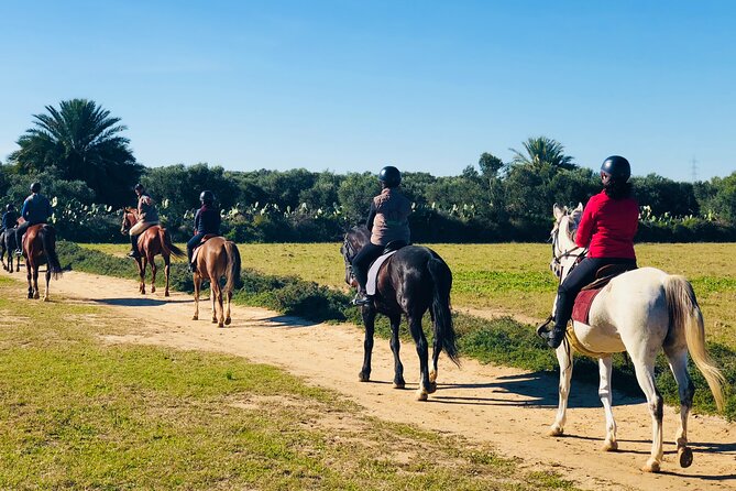 Horseback riding with private transfer - Getting ready for your horse