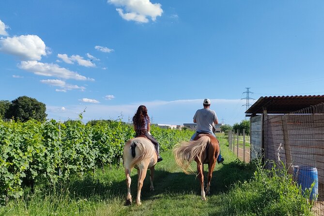 Horseback Riding with wine tasting in Lake Garda vineyards - Starting at 9:30 at CS Ranch