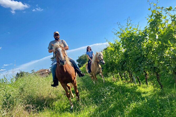 Horseback Riding with wine tasting in Lake Garda vineyards - Tinelli Wines and Three Regional Tastings