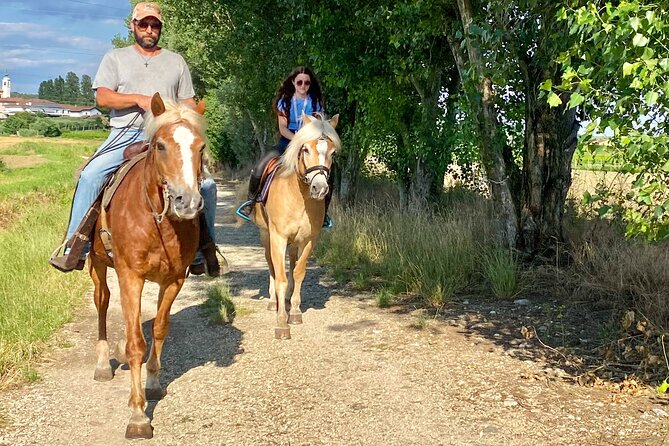 Horseback Riding with wine tasting in Lake Garda vineyards - Who Should Book This Morning Outing?