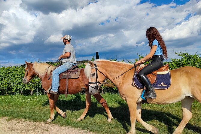 Horseback Riding with wine tasting in Lake Garda vineyards - Practical Things to Know Before You Go
