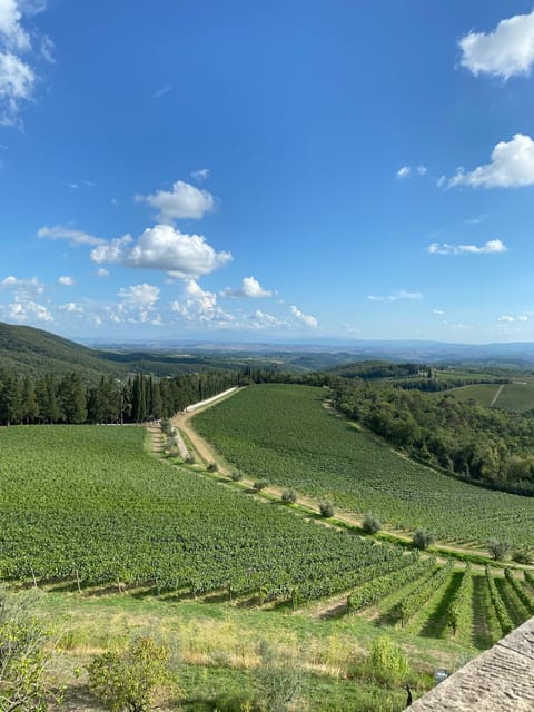 Horseback Riding with Wine Tour from Florence - Should You Book the Horseback Riding and Wine Tour?