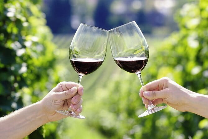 Horseback Riding with Wine Tour from Florence - San Gimignano and Its Medieval Towers