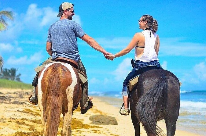 HorseBack Rinding to Macao Beach - A closer look at the horses and pace