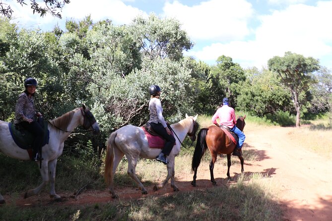Horseback Safari Adventure in Hartbeespoort from Johannesburg - Photography without putting your phone at risk