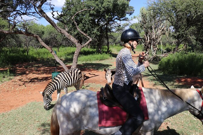 Horseback Safari Adventure in Hartbeespoort from Johannesburg - Is $112.52 a fair price?