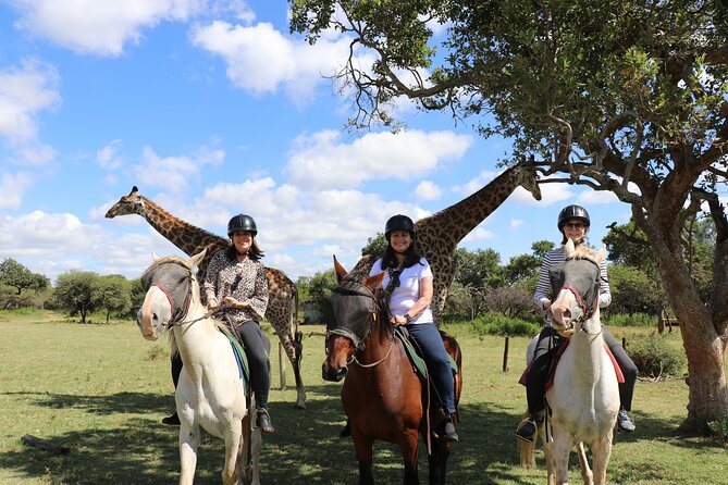 Horseback Safari Adventure in Hartbeespoort from Johannesburg - Two hours on horseback at Silkaatsnek Nature Reserve