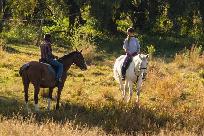 Horseback Small-Group Trail Rides in Muldersdrift - Key points at a glance