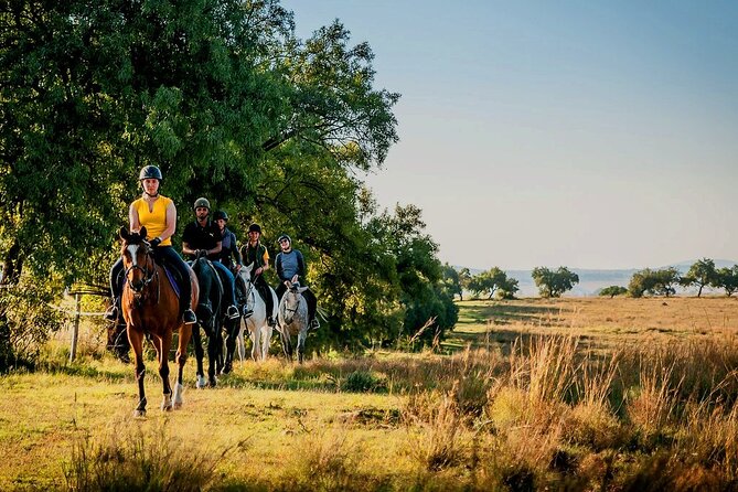 Horseback Small-Group Trail Rides in Muldersdrift - Choosing one, 1.5, or two hours