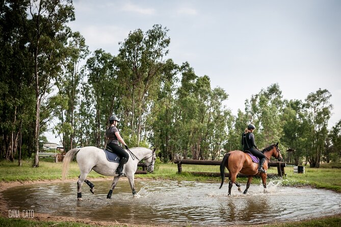 Horseback Small-Group Trail Rides in Muldersdrift - The Johannesburg and Magaliesberg viewpoints