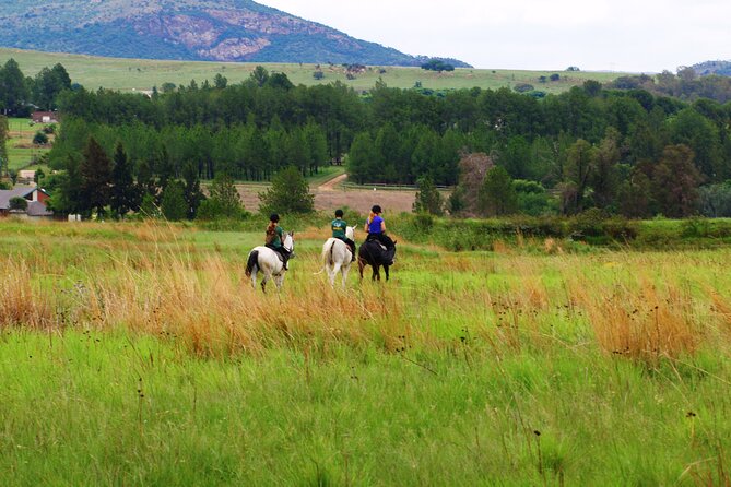 Horseback Small-Group Trail Rides in Muldersdrift - What experienced riders can expect
