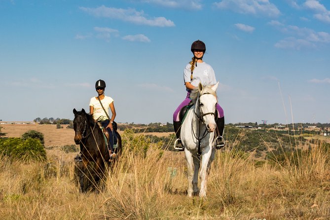 Horseback Small-Group Trail Rides in Muldersdrift - Arriving at Shepherds Fold Stables