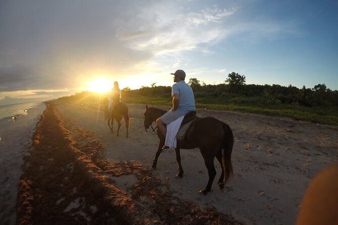 Horseback “SPECIAL”- Negril’s Beach Ride N’ Swim with Free photos/videos - The trail ride: birds, trees, herbs, and Jamaican cooking