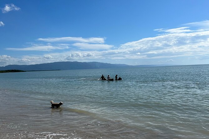 Horseback “SPECIAL”- Negril’s Beach Ride N’ Swim with Free photos/videos - The horse swim in Negril’s Caribbean water