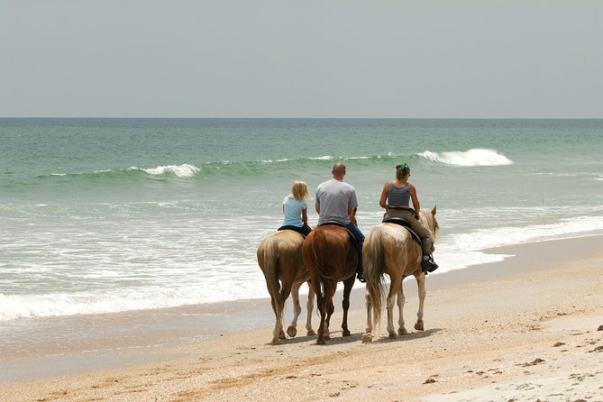 Horseback “SPECIAL”- Negril’s Beach Ride N’ Swim with Free photos/videos - Riding through the red mangrove tunnel