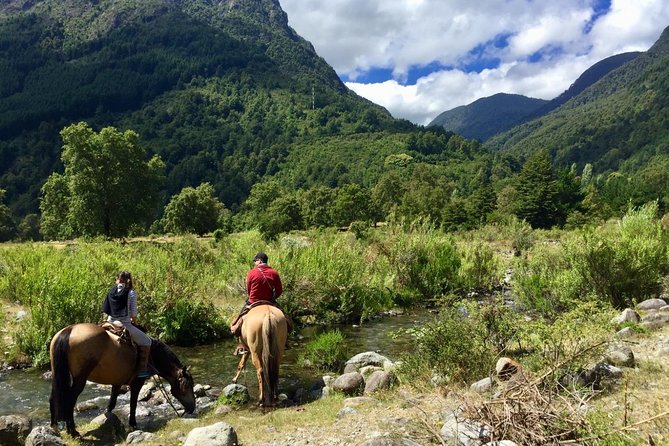Horseback Trailride Excursion - Pastures, Single Trails, and the Liucura River